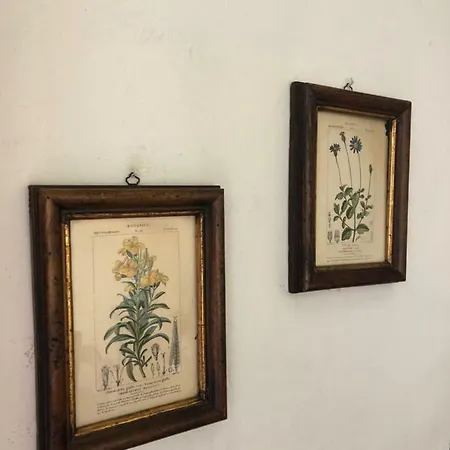 Casa Di Ada Apartamento *